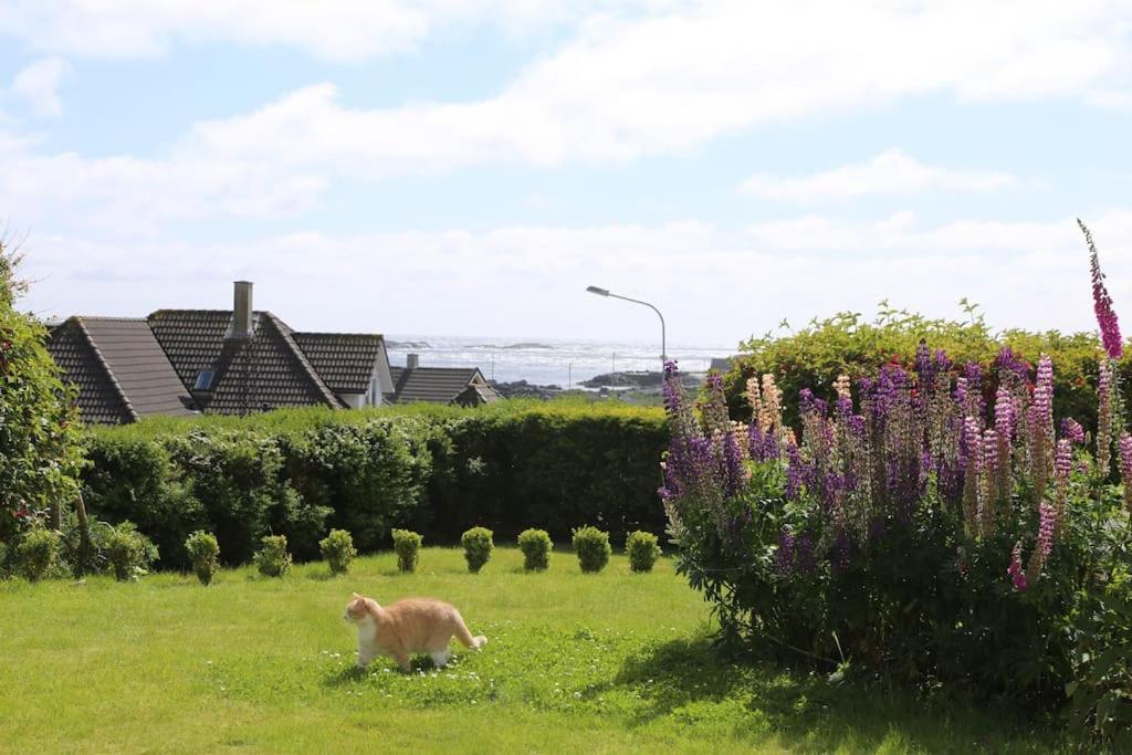 Sandve Buitenkant foto